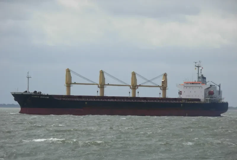 DK 03 Bulk Carrier IMO 9082908 photo 3