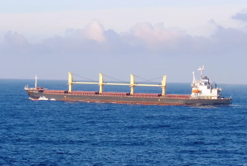 DK 03 Bulk Carrier IMO 9082908 photo 4