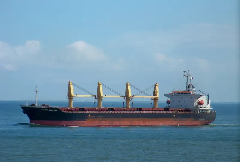 DK 03 Bulk Carrier IMO 9082908 photo 6