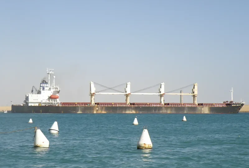 DK 03 Bulk Carrier IMO 9082908 photo 7