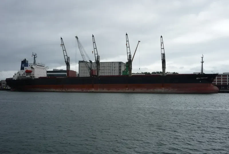 NEW FORTUNE Bulk Carrier IMO 9082946