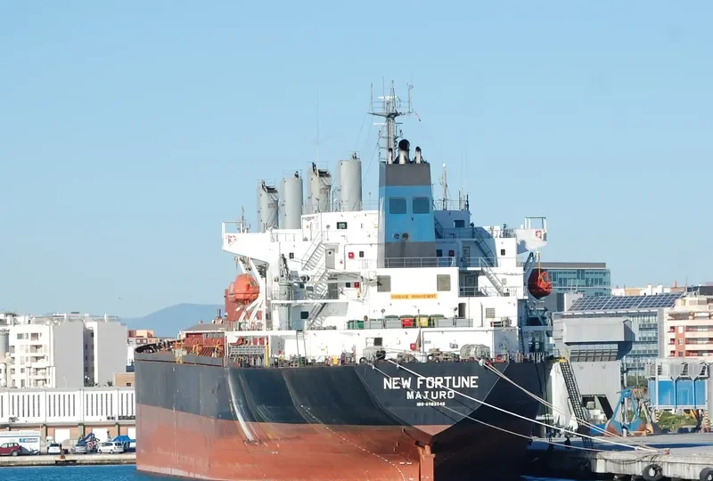 NEW FORTUNE Bulk Carrier IMO 9082946 photo 7