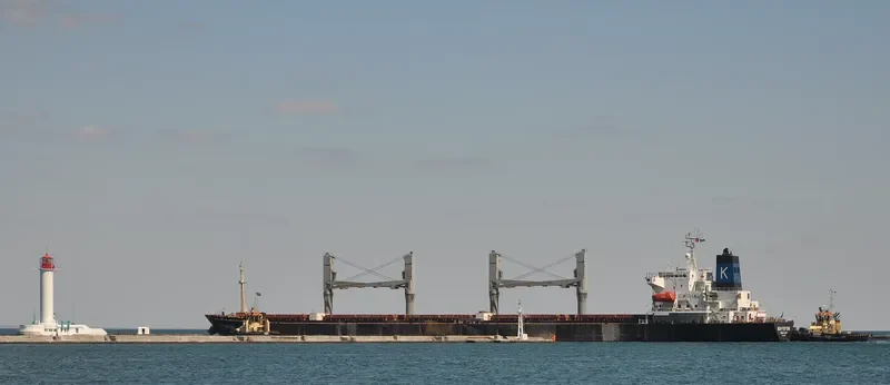 NEW FORTUNE Bulk Carrier IMO 9082946 photo 8