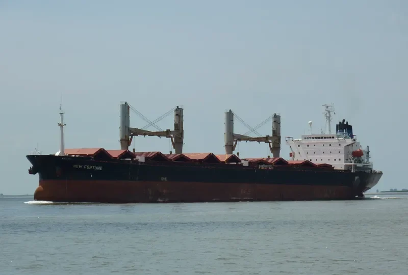 NEW FORTUNE Bulk Carrier IMO 9082946 photo 9
