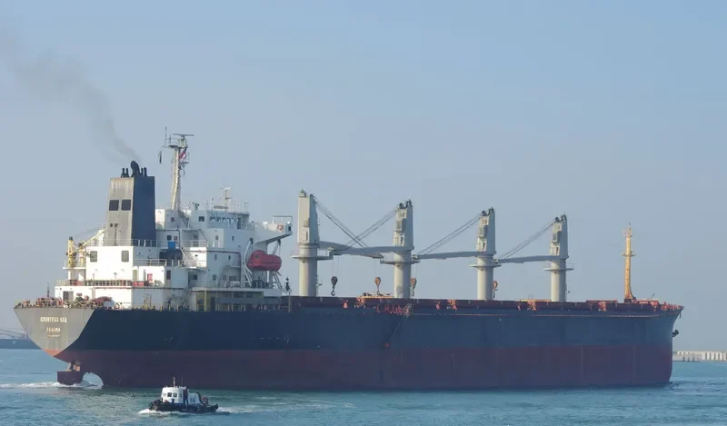 COUNTESS SEA Bulk Carrier IMO 9082958 photo 2