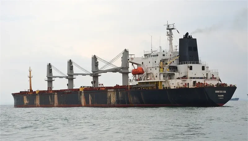 COUNTESS SEA Bulk Carrier IMO 9082958 photo 3