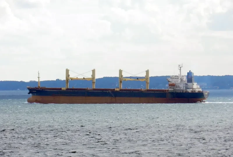 COUNTESS SEA Bulk Carrier IMO 9082958 photo 4