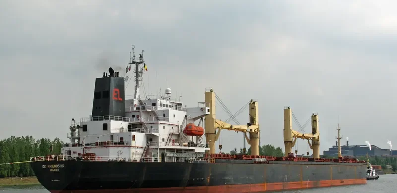 COUNTESS SEA Bulk Carrier IMO 9082958 photo 6
