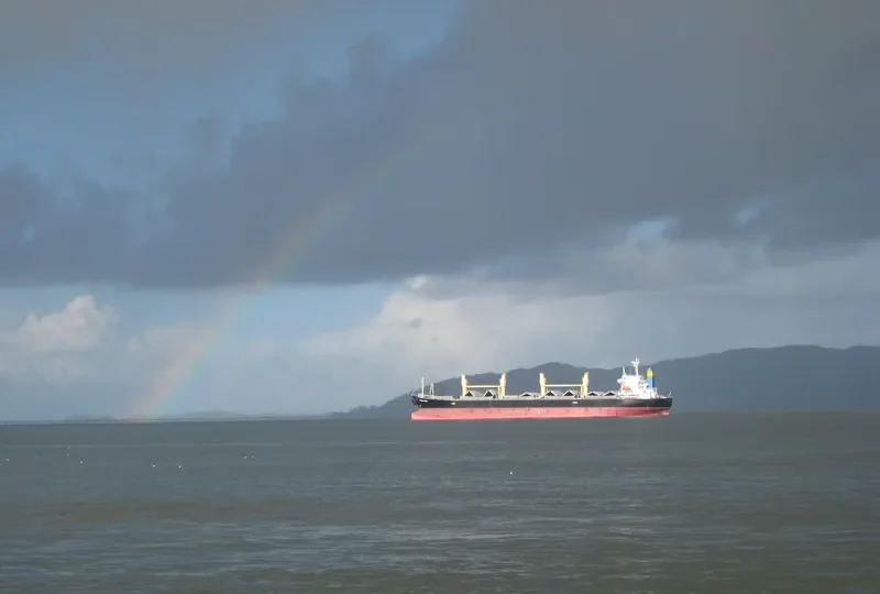 COUNTESS SEA Bulk Carrier IMO 9082958 photo 7