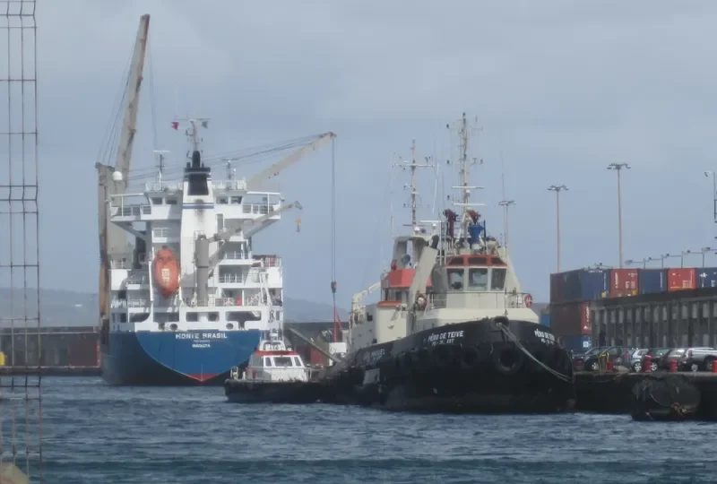 MONTE BRASIL Container Ship IMO 9083055
