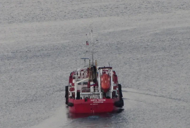 BIRTHE THERESI Tanker IMO 9083184 photo 10