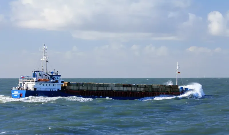 SANDAL General Cargo IMO 9083201 photo 4