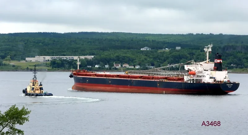 BAHAMA SPIRIT Bulk Carrier IMO 9083263 photo 3