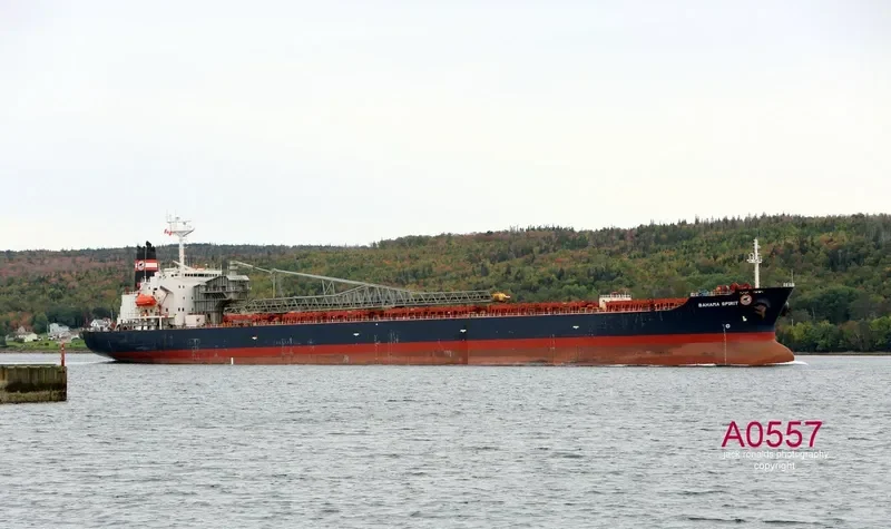 BAHAMA SPIRIT Bulk Carrier IMO 9083263 photo 5