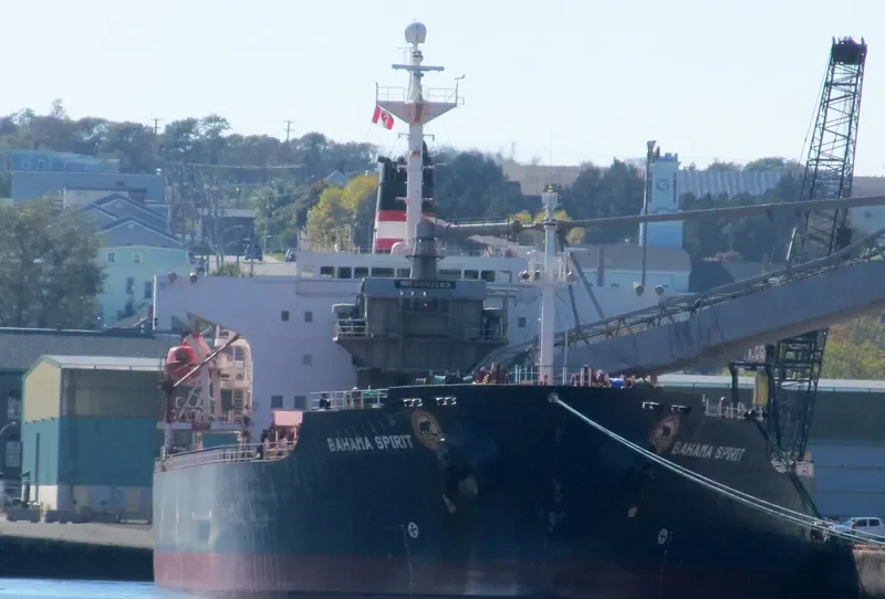 BAHAMA SPIRIT Bulk Carrier IMO 9083263 photo 7