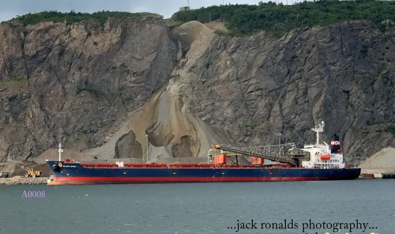BAHAMA SPIRIT Bulk Carrier IMO 9083263 photo 8
