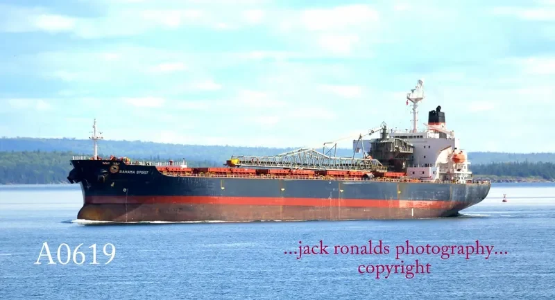 BAHAMA SPIRIT Bulk Carrier IMO 9083263 photo 9