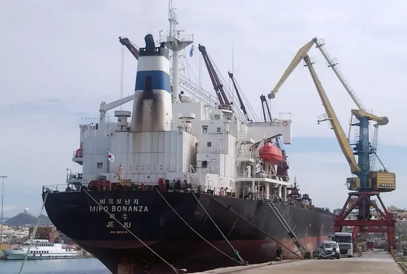 U RICH Bulk Carrier IMO 9083275 photo 8