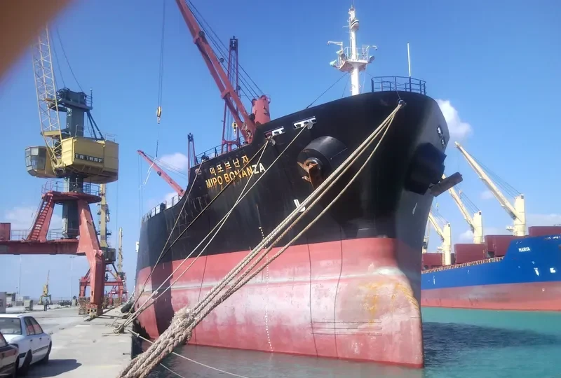U RICH Bulk Carrier IMO 9083275 photo 9