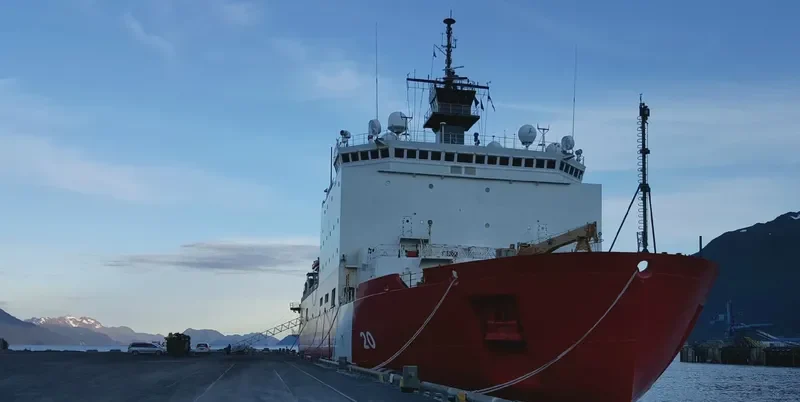 HEALY General Cargo IMO 9083380