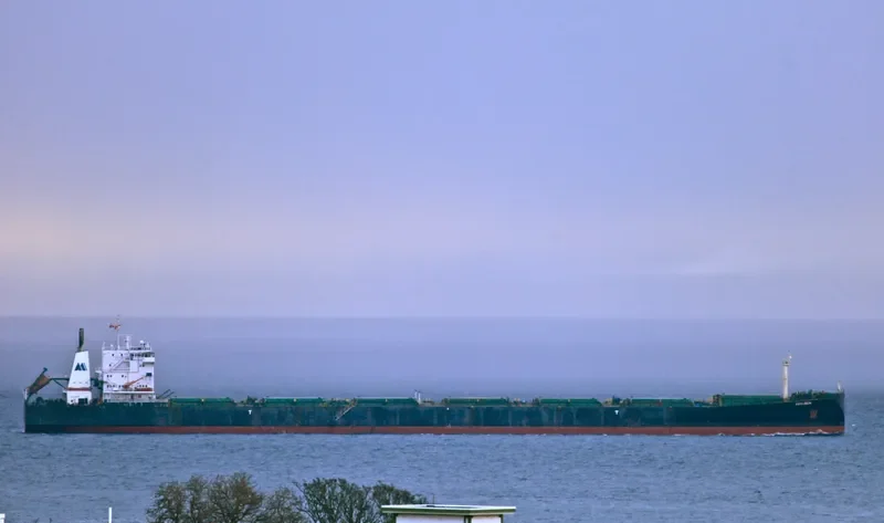 KAYU EBONI Bulk Carrier IMO 9083524 photo 2