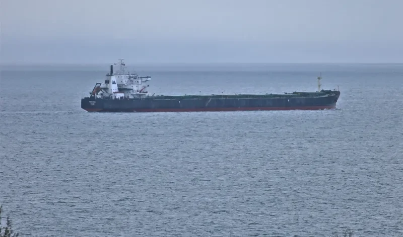 KAYU EBONI Bulk Carrier IMO 9083524 photo 3