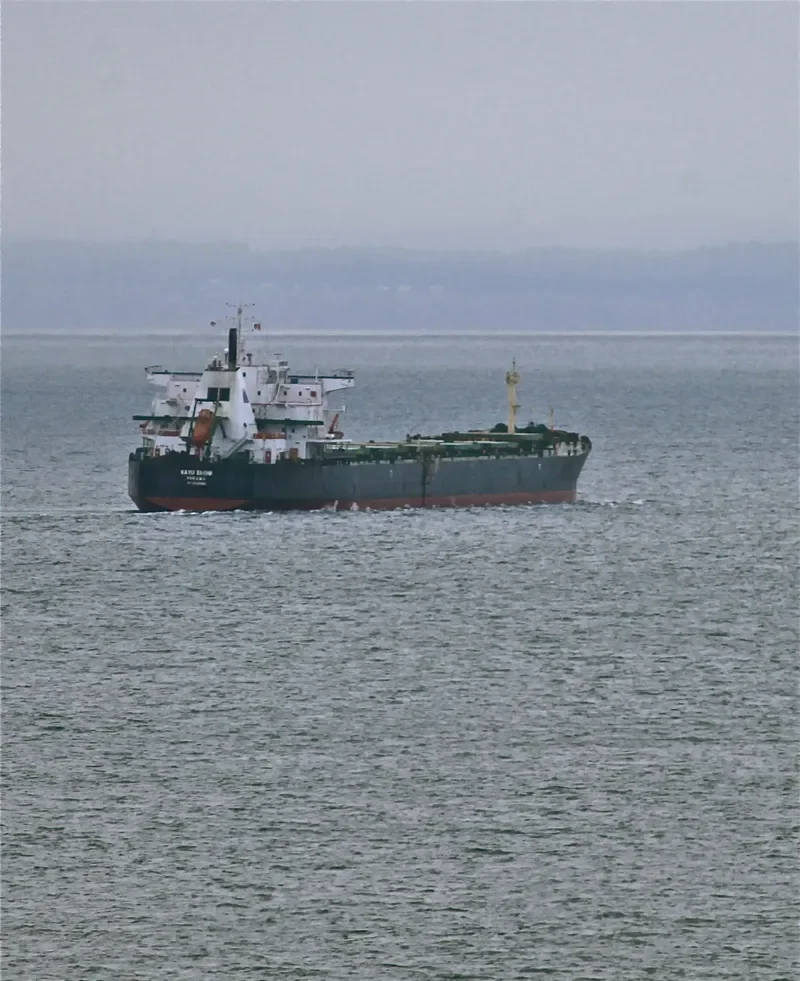 KAYU EBONI Bulk Carrier IMO 9083524 photo 5
