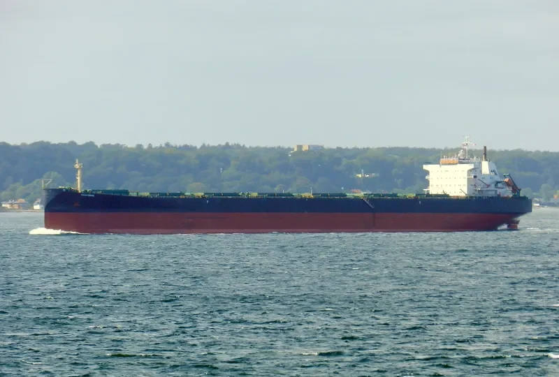 KAYU EBONI Bulk Carrier IMO 9083524 photo 7