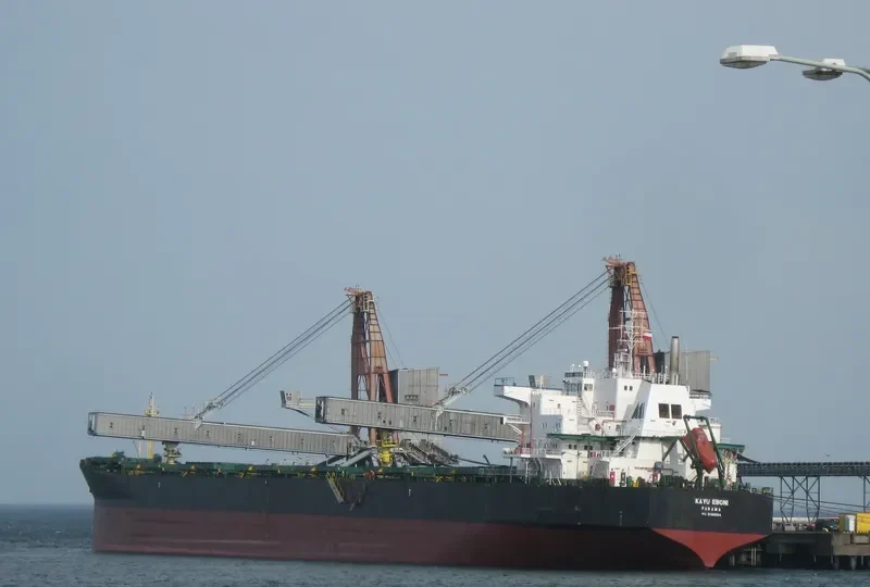 KAYU EBONI Bulk Carrier IMO 9083524 photo 8