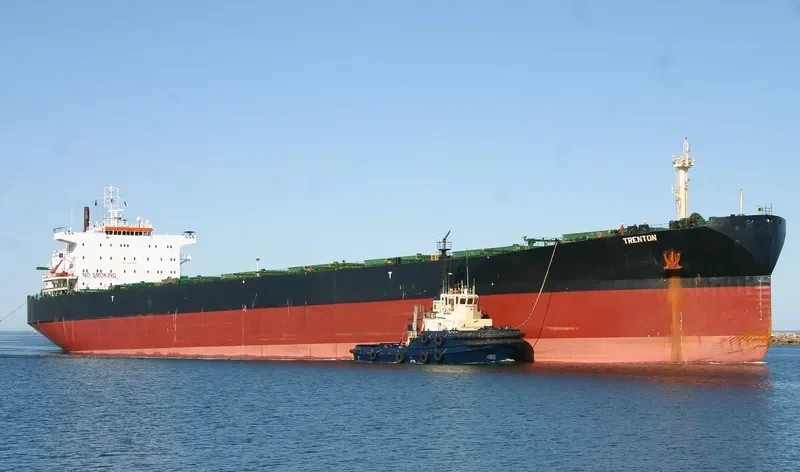 KAYU EBONI Bulk Carrier IMO 9083524 photo 10