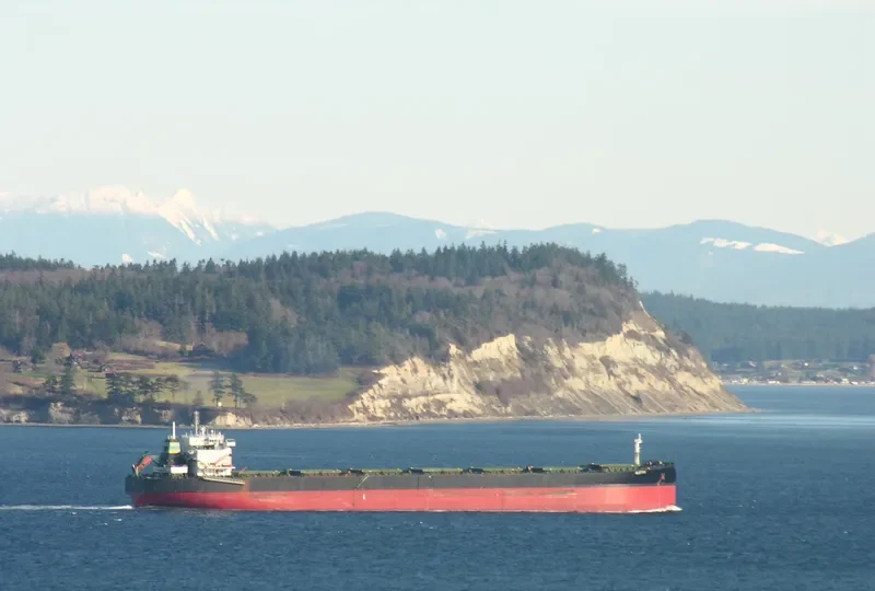 KAYU RAMIN Bulk Carrier IMO 9083536 photo 3
