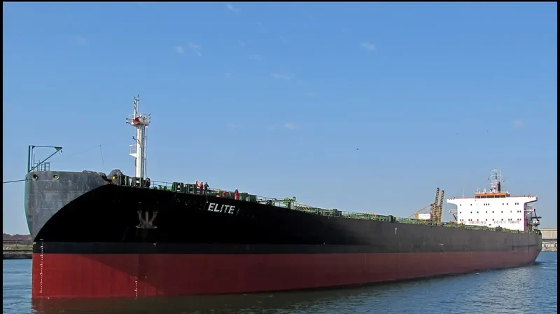 ELITE Bulk Carrier IMO 9083548