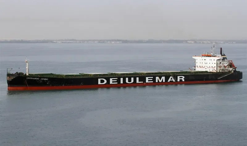 ELITE Bulk Carrier IMO 9083548 photo 5