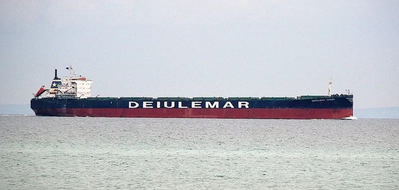 ELITE Bulk Carrier IMO 9083548 photo 9