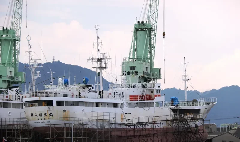 FUKUKYU MARU NO.8 General Cargo IMO 9083598 photo 3