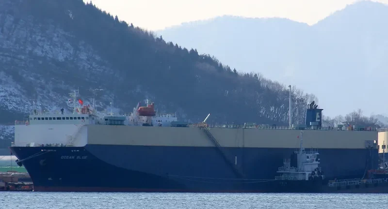 DHARMA RUCITRA VII General Cargo IMO 9083627 photo 5