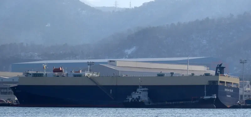 DHARMA RUCITRA VII General Cargo IMO 9083627 photo 6