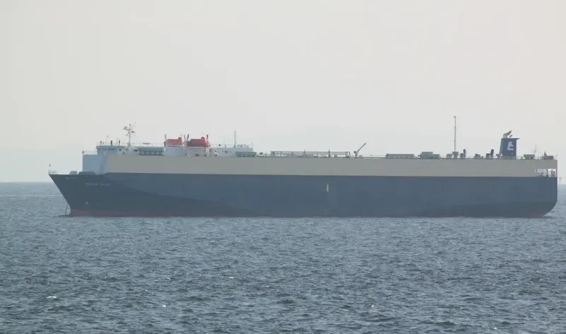 DHARMA RUCITRA VII General Cargo IMO 9083627 photo 8