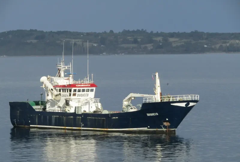 DUQUECO General Cargo IMO 9083809 photo 3