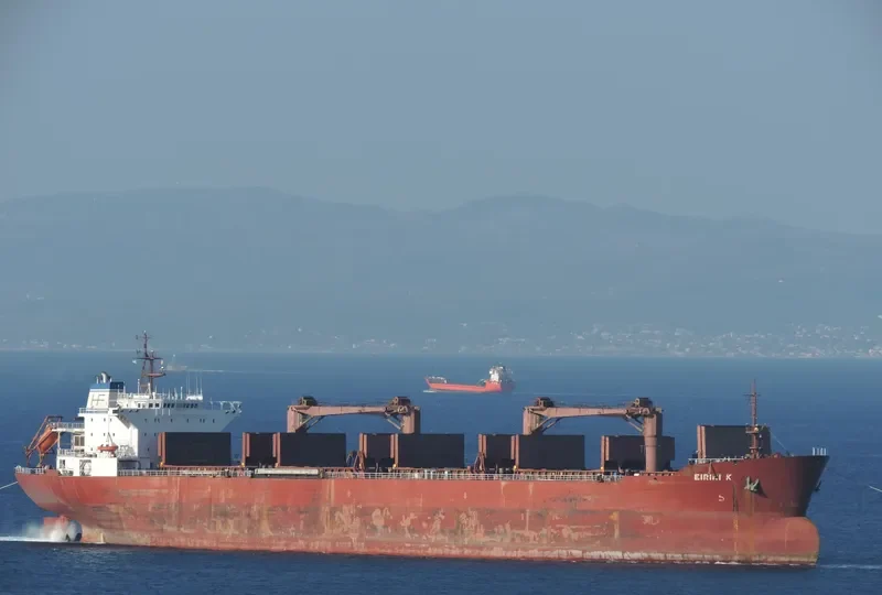 EIRINI K Bulk Carrier IMO 9083811 photo 2