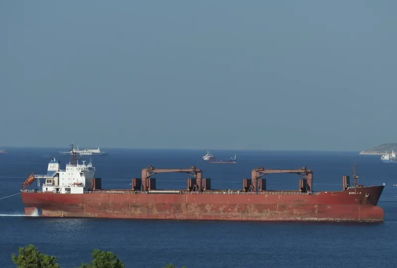 EIRINI K Bulk Carrier IMO 9083811 photo 3