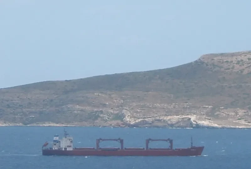 EIRINI K Bulk Carrier IMO 9083811 photo 9