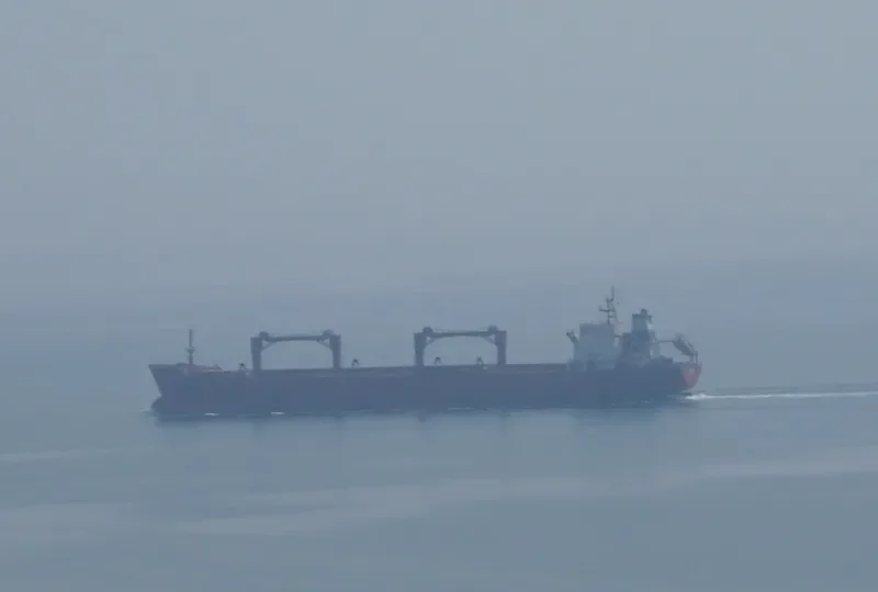 EIRINI K Bulk Carrier IMO 9083811 photo 10