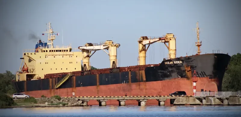 OCEAN RIDER Bulk Carrier IMO 9083823