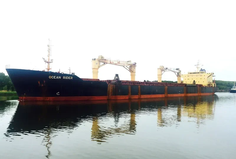 OCEAN RIDER Bulk Carrier IMO 9083823 photo 3
