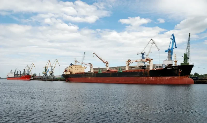 OCEAN RIDER Bulk Carrier IMO 9083823 photo 5