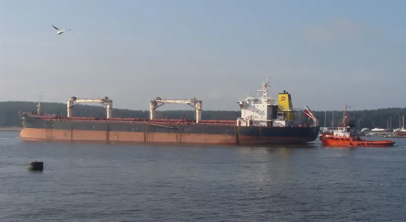OCEAN RIDER Bulk Carrier IMO 9083823 photo 6