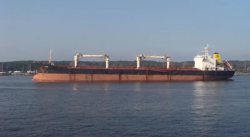OCEAN RIDER Bulk Carrier IMO 9083823 photo 7