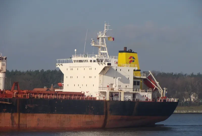 OCEAN RIDER Bulk Carrier IMO 9083823 photo 8