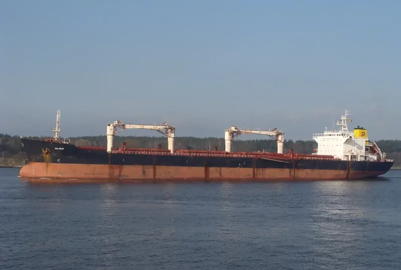 OCEAN RIDER Bulk Carrier IMO 9083823 photo 9